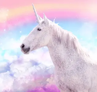 Unicorn Dreams
